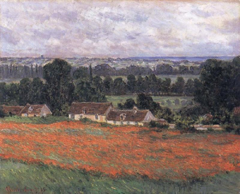 Claude Monet Field of Poppies,Giverny oil painting picture